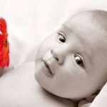 Babyfoto, Nahaufnahme in Schwarz-Weiss-Foto, mit eine rote Blume in der Hand