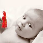 Portraitfotografie Berlin, Baby Nahaufnahme, Schwarz-Weiß und eine rote Blume in der Hand.